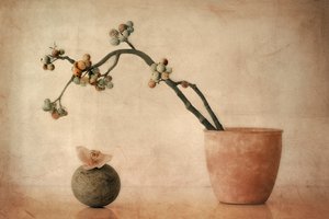 Frutos silvestres terrosos e orquídea de Elena Arjona