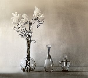 Flores Elegantes e Perfume de Elena Arjona