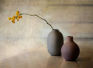 Vasos florais minimalistas