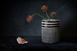 Flores espinhosas e melancólicas de Elena Arjona