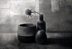 Embarcações «Moody Thistle» de Elena Arjona