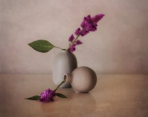 Vasos florais serenos de Elena Arjona