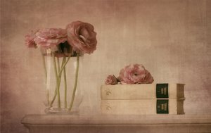 Natureza morta com ranúnculos rosa claro