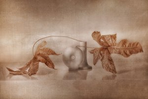 Reflexão Outonal Vintage de Elena Arjona