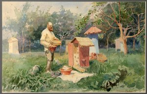 No pátio das abelhas, 1890