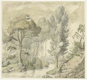 Paisagem florestal com colina à direita e água no meio