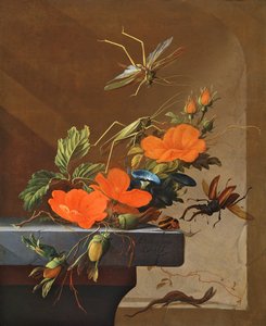 Um buquê de rosas, morning glory e avelãs com gafanhotos, besouro de veado e lagarto