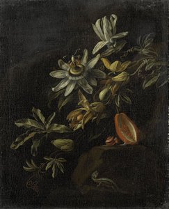 Natureza morta com flores de maracujá de Elias van den Broeck