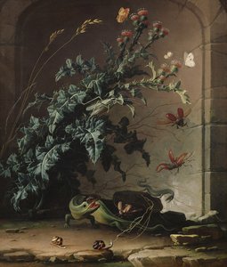 Nicho de pedra com cardo, lagarto e insetos, 1690