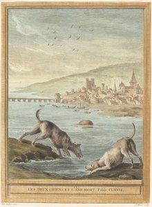 Dois Cães e o Burro Morto de Elie du Mesnil after Jean Baptiste Oudry