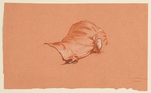 estudo de cortinas para torso masculino fantasiado de Elihu Vedder