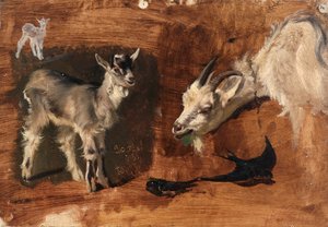 Cabras.