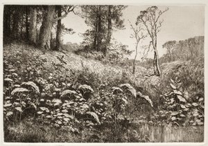 Uma tarde de verão de Elis F. Miller