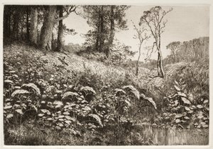 Uma tarde de verão, 1882. de Elis F. Miller
