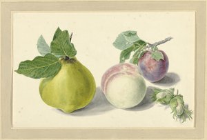 Uma pêra, pêssego, ameixa e nozes de Elisabeth Geertruida van de Kasteele