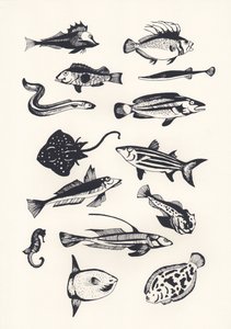 Peixe Comum Monótono, 2015 (papel de parede)
