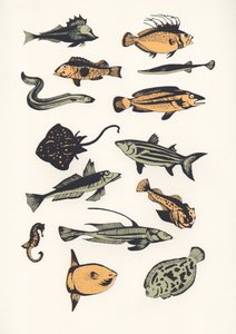 Planície Peixe, 2015 (papel de parede) de Eliza Southwood