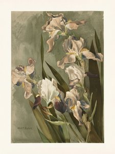 de Elizabeth F. Parker