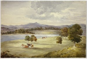Vacas na paisagem de Elizabeth Murray
