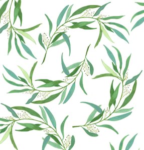 Folhas de eucalipto, 2018 (aguarela e acrílico) de Elizabeth Rider