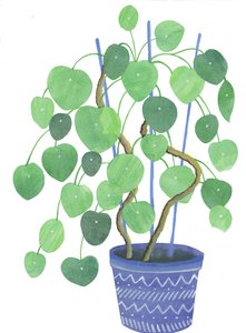 Planta Pilea, 2017 (aguarela e colagem)