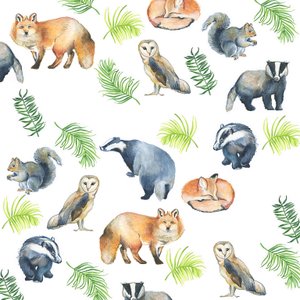 Animais da floresta, 2017 (aguarela) de Elizabeth Rider