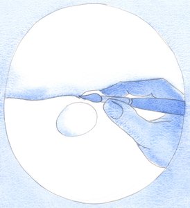 Ao toque do pincel de um artista, o pigmento enche uma poça d&39;água. Pelo nosso &39;toque&39; de oração contrita, nós &39;atraímos&39; a graça de Deus dentro de nós, 2002 (w - c no papel) de Elizabeth Wang