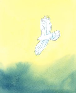 Na Sua justiça, Deus é como uma enorme ave de rapina, que vê de longe a menor criatura da terra e todos os seus movimentos, 2003 (w - c no papel) de Elizabeth Wang