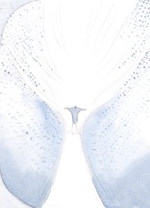 Nossa Senhora alegrou-se quando se separaram na Ascensão, visto que Cristo partiu para ocupar o Seu lugar no Céu, finalmente, para uma grande onda de alegria., 2000 (w - c no papel) de Elizabeth Wang