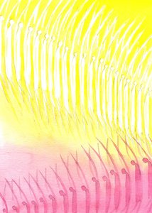 The heavenly host, 2001 (w - c no papel) de Elizabeth Wang
