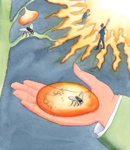 O que significa &39;eternidade&39; do inferno ou céu Significa &39;capturado de forma imutável&39;, seja em egoísmo ou em estado de graça; sendo mantido eternamente sem Deus, pelas escolhas livres de um indivíduo de Elizabeth Wang