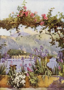 Um Jardim em Cadenabbia, Lago Como (cor litho) de Ella Du Cane