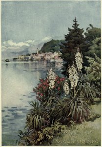 Um grupo de Yuccas, Villa Melzi, Lago di Como, ilustração de 