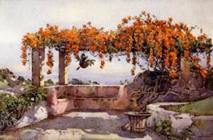 Bignonia Venusta (cor litho) de Ella Du Cane