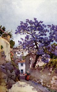 Jacarandá (lito colorido) de Ella Du Cane