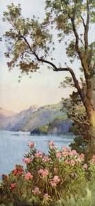 Lago Lecco, Lago Como (lito colorido) de Ella Du Cane