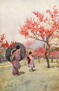 Flor de Pêssego (cor litho) de Ella Du Cane