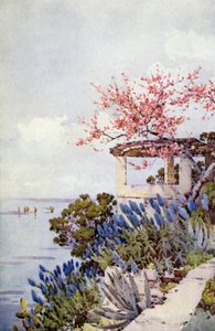 Pride of Madeira and Peach Blossom (cor litho) de Ella Du Cane