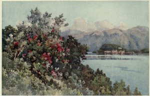 Rosas, Villa Carlotta, Lago di Como, ilustração de 
