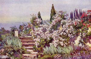Os Passos de Jardim (cor litho) de Ella Du Cane