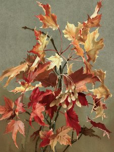 Folhas de outono, n.º 2 (bordo) Por Ellen Thayer Fisher