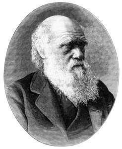 Charles Darwin, naturalista inglês do século XIX, 1900.