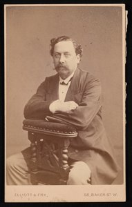 Retrato de David Forbes 1828-1876, 1874. de Elliott and Fry