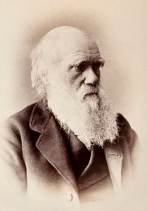 Charles Darwin: naturalista inglês