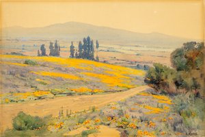 Floresta. de Elmer Wachtel