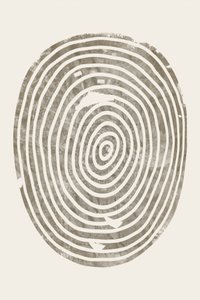 Anéis concêntricos de madeira de Ema Paraschiv