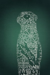 Desenho complexo de um suricate de Ema Paraschiv