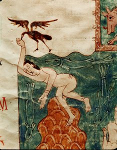 Corvo a mexer num cadáver de Emeterio the Monk