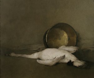 O Cisne Selvagem, 1902