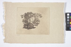 Estudo das árvores (tinta) de Emil Carlsen